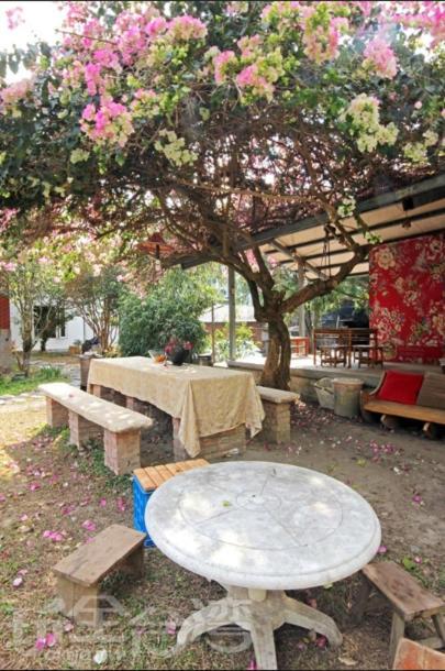 Dongguang Zhixing Homestay Yuchi Eksteriør bilde